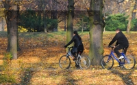 Toruń przyjazny rowerzystom