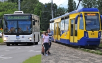 Autobusy i tramwaje