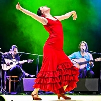 zdjęcie tancerki flamenco